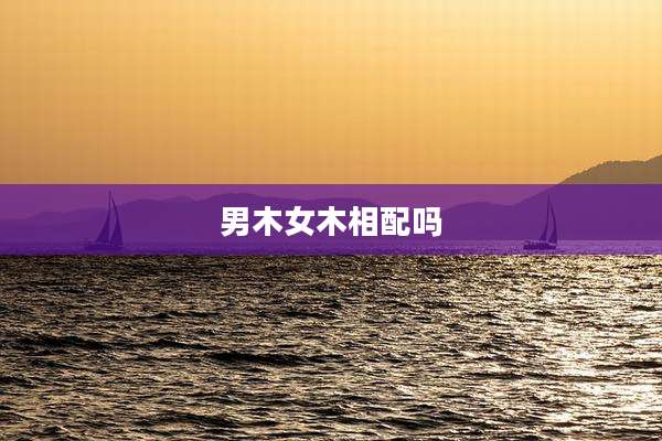 男木女木相配吗