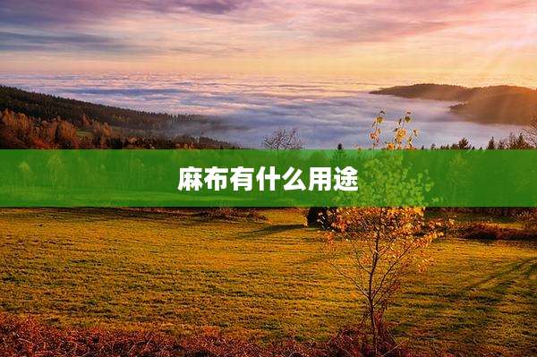 麻布有什么用途
