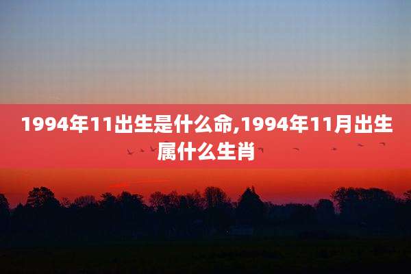 1994年11出生是什么命,1994年11月出生属什么生肖