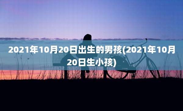2021年10月20日出生的男孩(2021年10月20日生小孩)