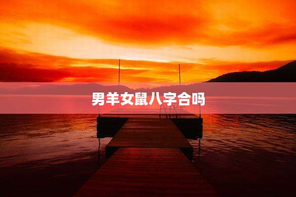 男羊女鼠八字合吗