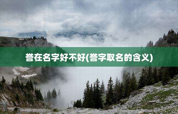 誉在名字好不好(誉字取名的含义)