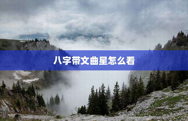 八字带文曲星怎么看