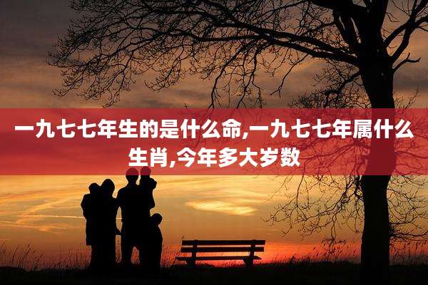 一九七七年生的是什么命,一九七七年属什么生肖,今年多大岁数