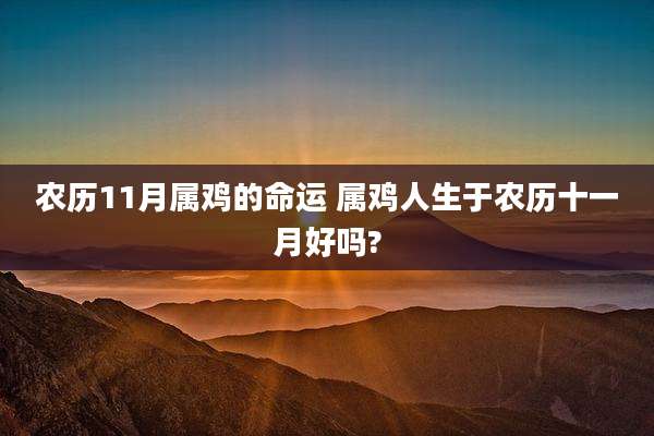 农历11月属鸡的命运 属鸡人生于农历十一月好吗?