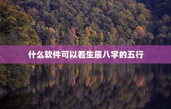 什么软件可以看生辰八字的五行