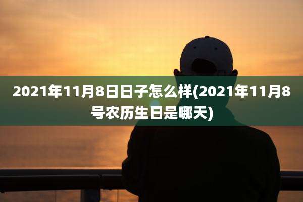 2021年11月8日日子怎么样(2021年11月8号农历生日是哪天)