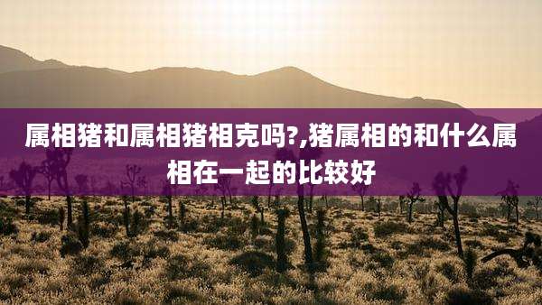 属相猪和属相猪相克吗?,猪属相的和什么属相在一起的比较好