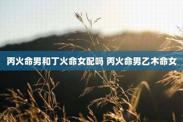 丙火命男和丁火命女配吗 丙火命男乙木命女