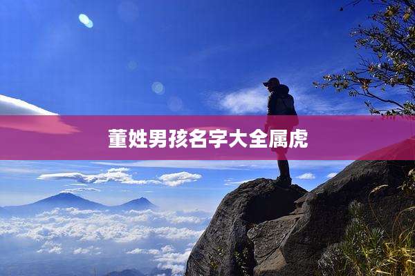 董姓男孩名字大全属虎