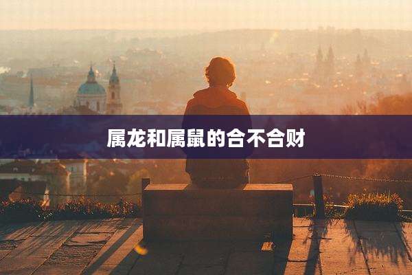 属龙和属鼠的合不合财