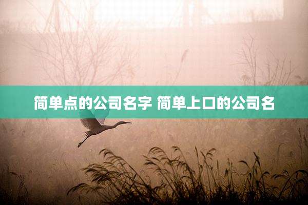 简单点的公司名字 简单上口的公司名