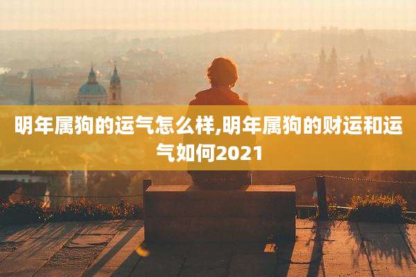 明年属狗的运气怎么样,明年属狗的财运和运气如何2021