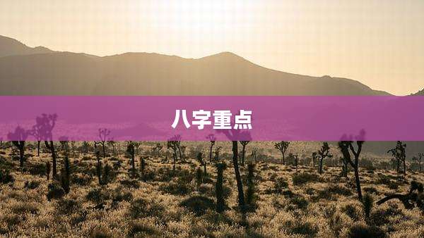 八字重点