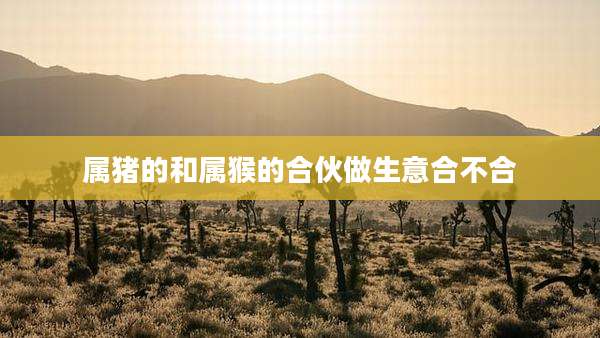 属猪的和属猴的合伙做生意合不合