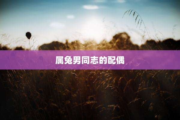 属兔男同志的配偶
