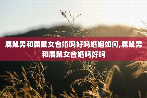 属鼠男和属鼠女合婚吗好吗婚姻如何,属鼠男和属鼠女合婚吗好吗