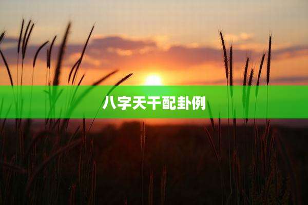 八字天干配卦例