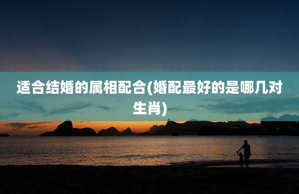 适合结婚的属相配合(婚配最好的是哪几对生肖)