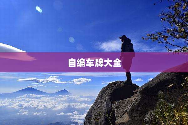 自编车牌大全