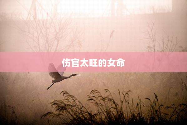 伤官太旺的女命