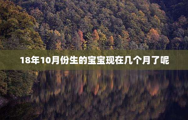 18年10月份生的宝宝现在几个月了呢