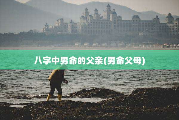 八字中男命的父亲(男命父母)