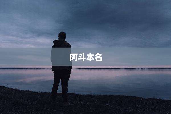 阿斗本名