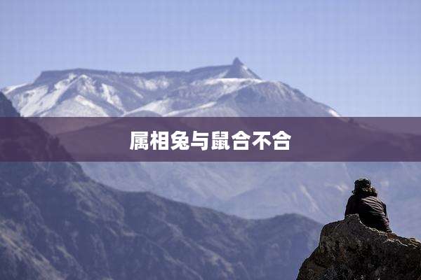 属相兔与鼠合不合