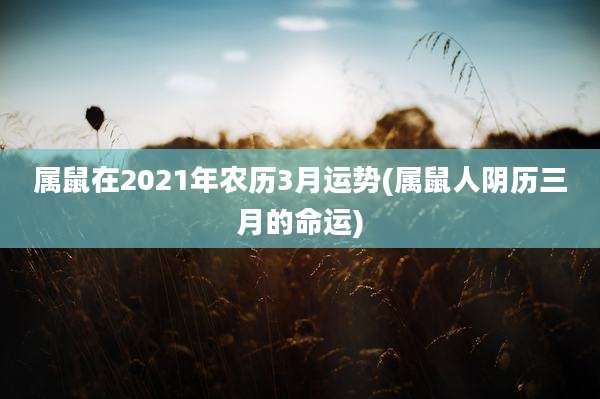 属鼠在2021年农历3月运势(属鼠人阴历三月的命运)