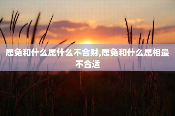 属兔和什么属什么不合财,属兔和什么属相最不合适