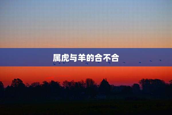 属虎与羊的合不合