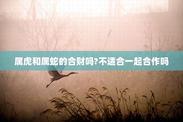 属虎和属蛇的合财吗?不适合一起合作吗