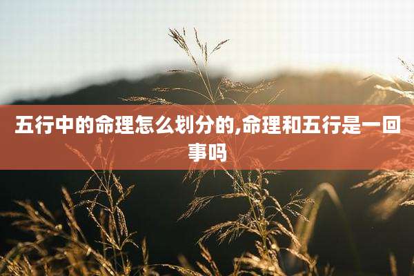 五行中的命理怎么划分的,命理和五行是一回事吗