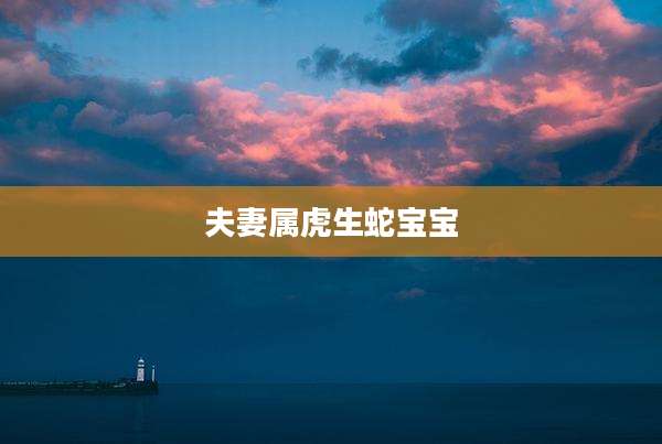 夫妻属虎生蛇宝宝