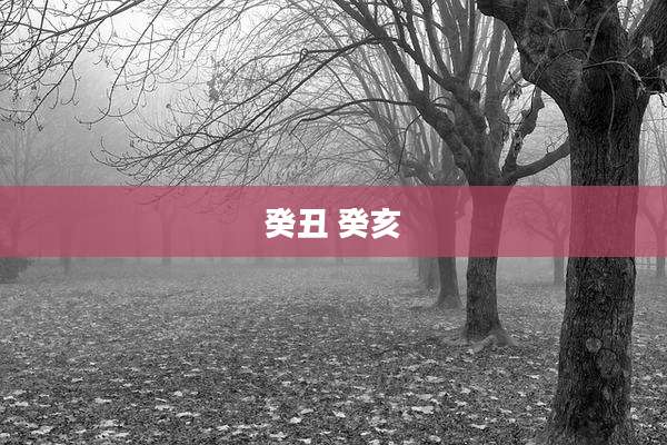 癸丑 癸亥