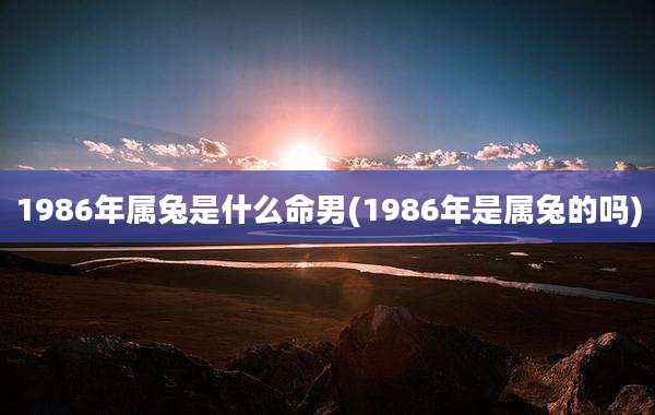 1986年属兔是什么命男(1986年是属兔的吗)