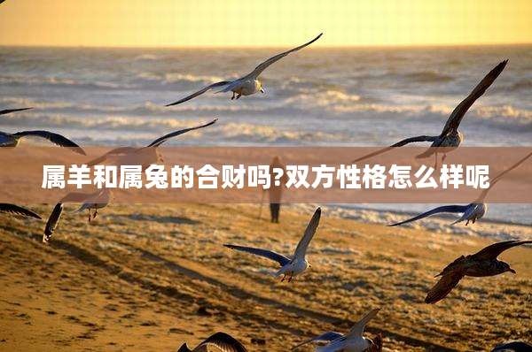属羊和属兔的合财吗?双方性格怎么样呢