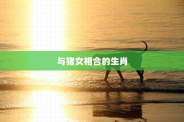 与猪女相合的生肖