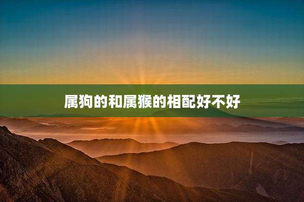 属狗的和属猴的相配好不好