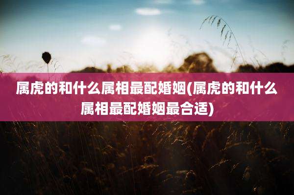 属虎的和什么属相最配婚姻(属虎的和什么属相最配婚姻最合适)