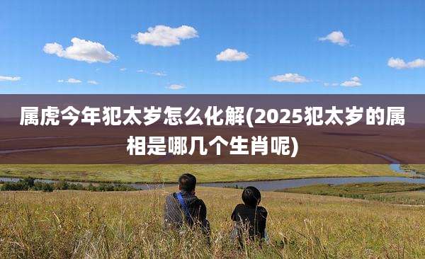 属虎今年犯太岁怎么化解(2025犯太岁的属相是哪几个生肖呢)
