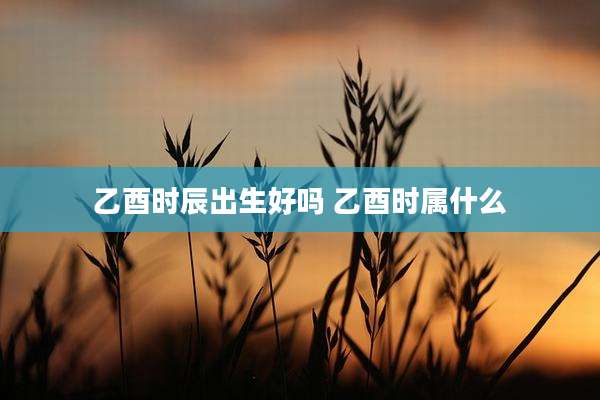 乙酉时辰出生好吗 乙酉时属什么