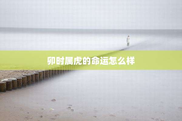 卯时属虎的命运怎么样