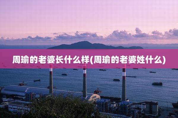 周瑜的老婆长什么样(周瑜的老婆姓什么)