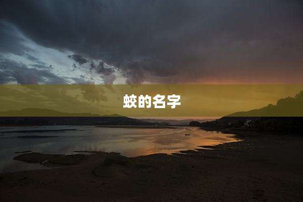 蛟的名字