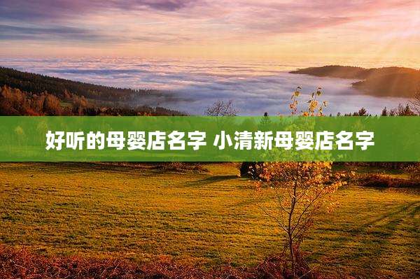 好听的母婴店名字 小清新母婴店名字