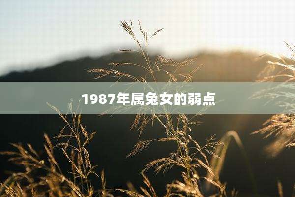 1987年属兔女的弱点