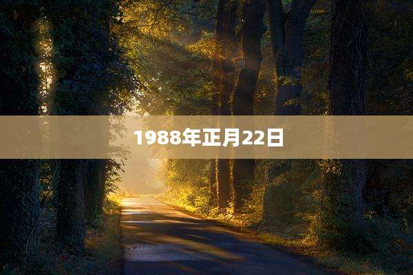1988年正月22日
