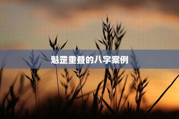 魁罡重叠的八字案例